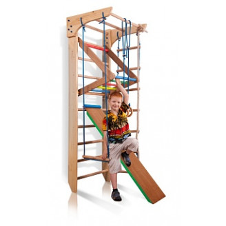 Детский спортивный комплекс для дома Киндер 3-220